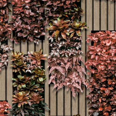 Papel Pintado Vegetación entre listones de madera - TREVISE 02 | MURAKE - 879367