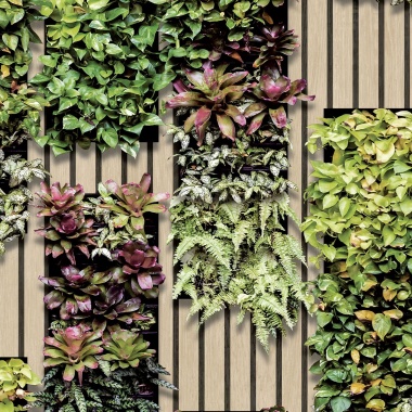 Papel Pintado Vegetación entre listones de madera - TREVISE 01 | MURAKE - 879366