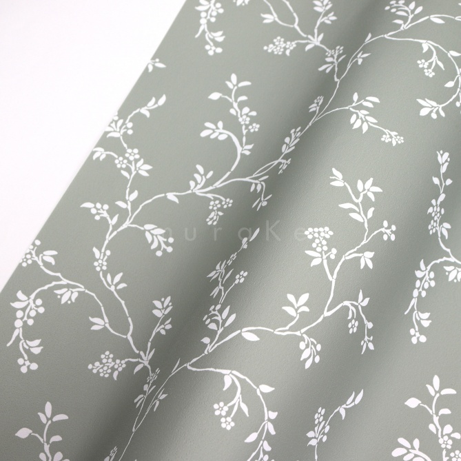 Papel Pintado Enredadera simple - MANDURIA 05 | MURAKE - 879065