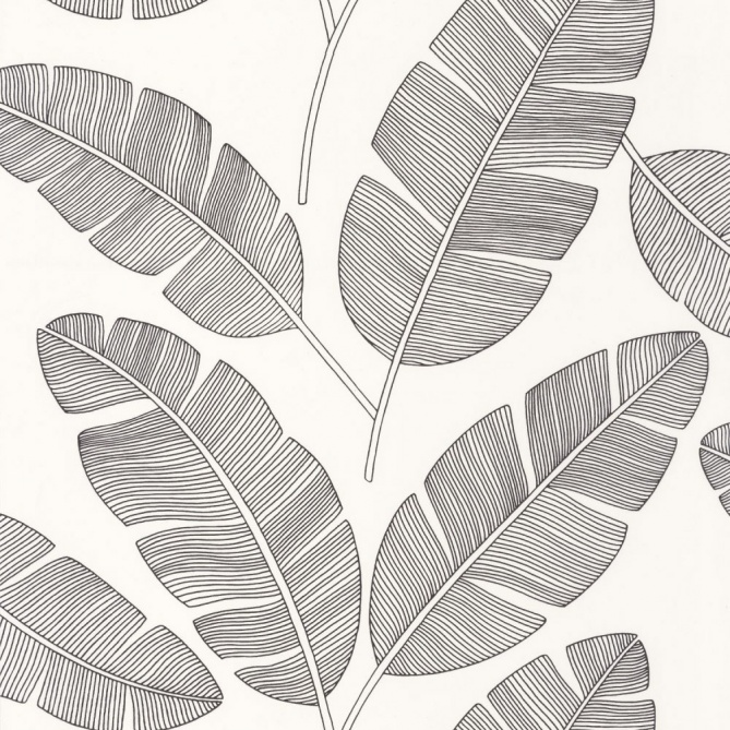 Papel Pintado Grandes hojas de plátano - PASCO 04 | MURAKE - 86354