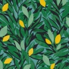 Papel Pintado Limoneros - ALTIRAU 03 | MURAKE - 879493