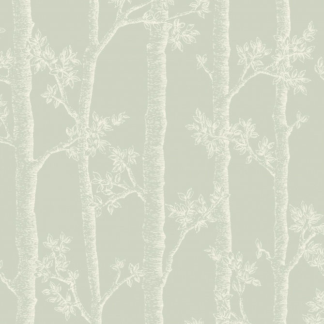 Papel Pintado Troncos de árboles - CHAGRES 05 | MURAKE - 879465