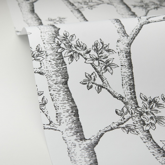 Papel Pintado Troncos de árboles - CHAGRES 01 | MURAKE - 879461