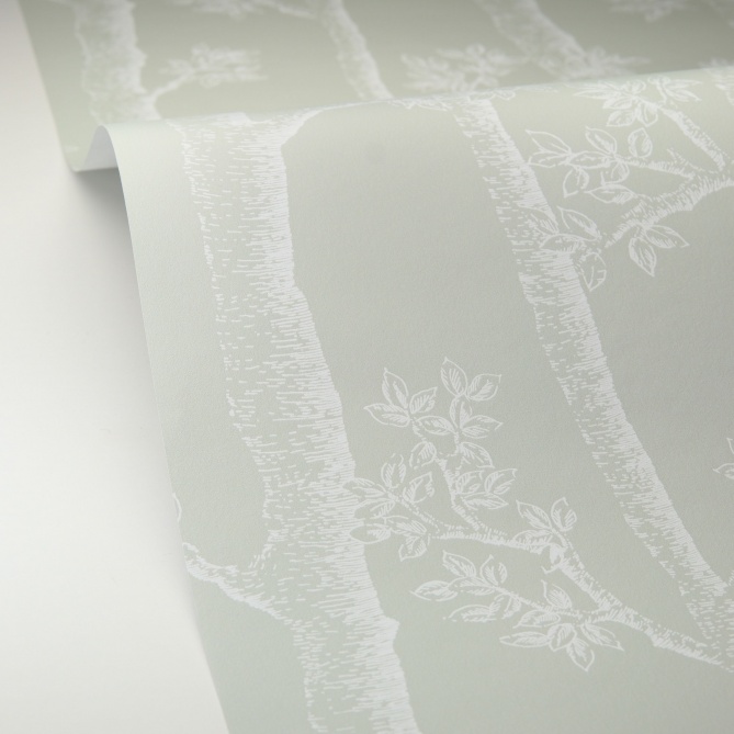 Papel Pintado Troncos de árboles - CHAGRES 05 | MURAKE - 879465