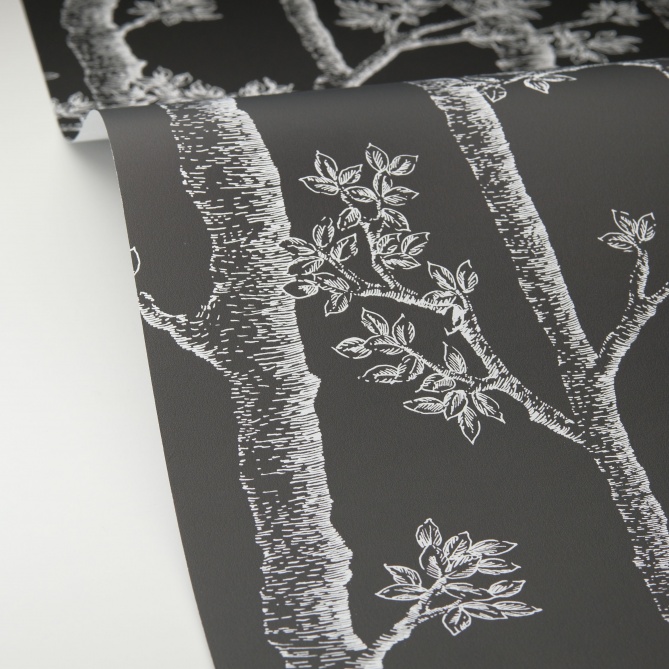 Papel Pintado Troncos de árboles - CHAGRES 06 | MURAKE - 879466