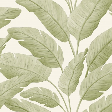 Papel Pintado Palmeras de plátano - JUBAIL 02 | MURAKE - 879702