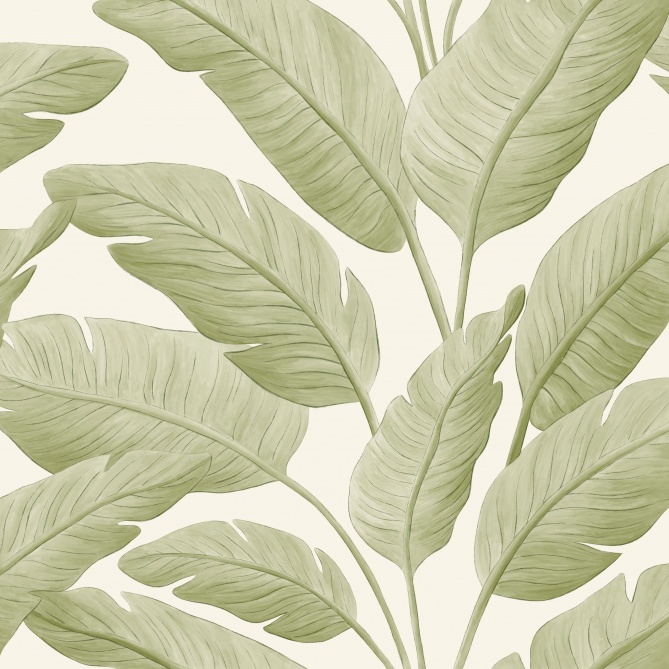 Papel Pintado Palmeras de plátano - JUBAIL 02 | MURAKE - 879702