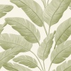 Papel Pintado Palmeras de plátano - JUBAIL 02 | MURAKE - 879702
