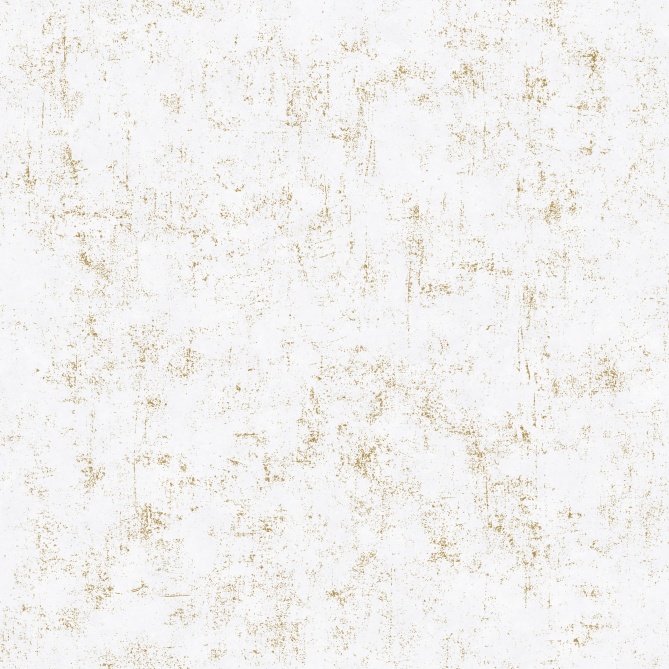 Papel Pintado Aspecto hormigón - KONKRET METAL 01 | MURAKE - 879901