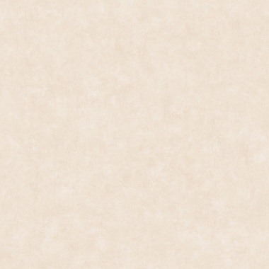 Papel Pintado Aspecto hormigón - KONKRET METAL 05 | MURAKE - 879905