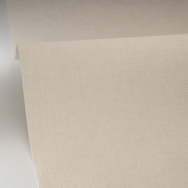 Papel pintado liso verde pálido LINOA 63 | Murake - 879993