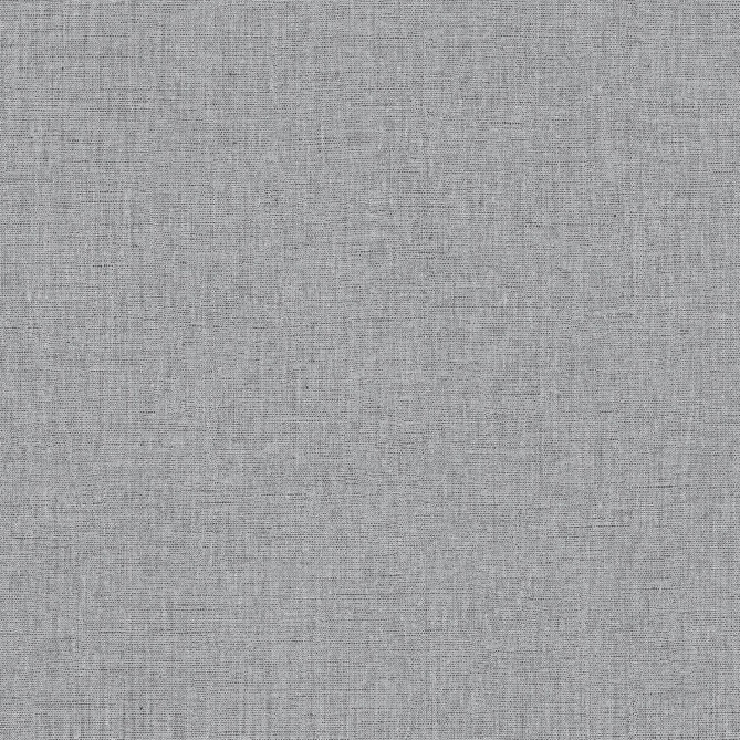 Papel pintado liso gris acero oscuro LINOA 81 | Murake - 880011
