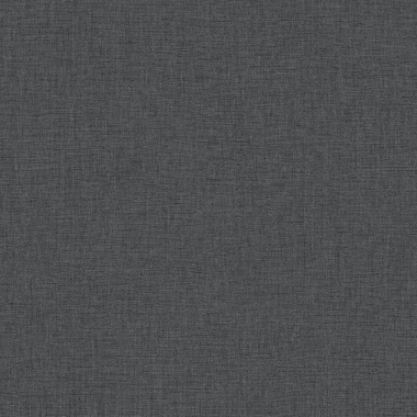 Papel pintado liso gris antracita LINOA 80 | Murake - 880010