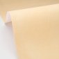 Papel pintado efecto cal beige arena - CALIZA 05 | MURAKE - 880158