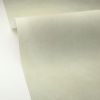 Papel pintado efecto cal verde agua - CALIZA 31 | MURAKE - 880184