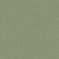 Papel pintado efecto fibra natural verde helecho - YUTARA 67 | MURAKE - 880386
