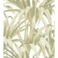 Papel pintado hojas de palmera verde - PALVENA 04 | MURAKE - 836774