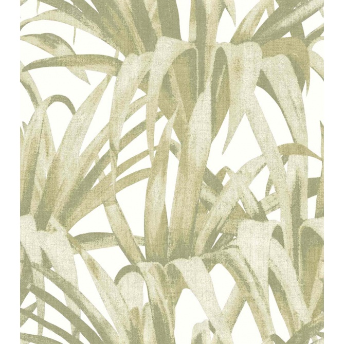 Papel pintado hojas de palmera verde - PALVENA 04 | MURAKE - 836774