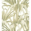 Papel pintado hojas de palmera verde - PALVENA 04 | MURAKE - 836774
