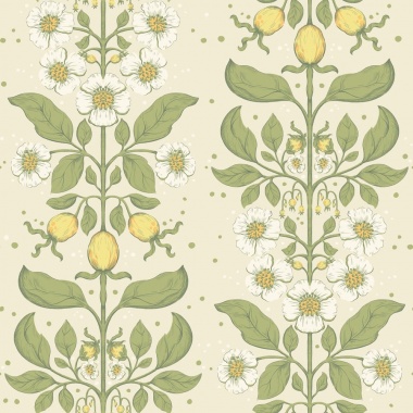 Papel pintado rosas silvestres blanco cálido - ROSANEA 02 | MURAKE - 203278