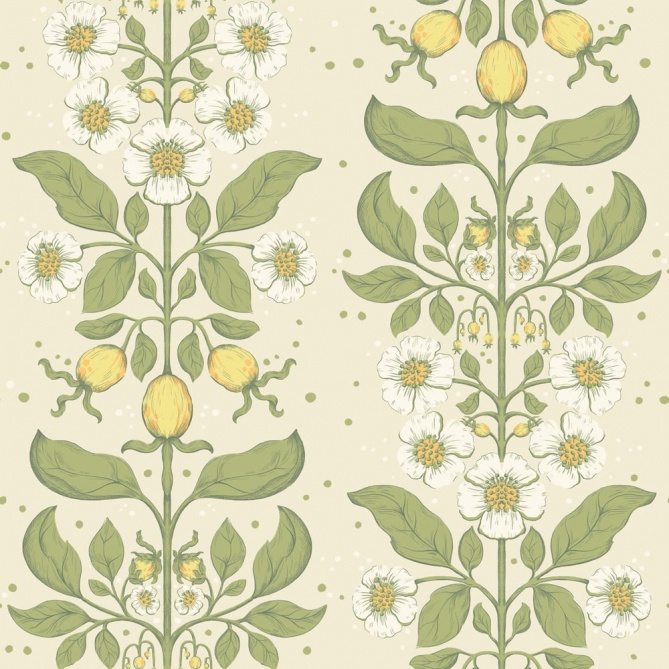 Papel pintado rosas silvestres blanco cálido - ROSANEA 02 | MURAKE - 203278