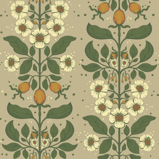 Papel pintado rosas silvestres topo - ROSANEA 04 | MURAKE - 203280