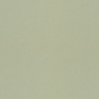 Papel pintado liso verde pistacho claro - TONARA 03 | MURAKE - 203304