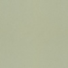 Papel pintado liso verde pistacho claro - TONARA 03 | MURAKE - 203304