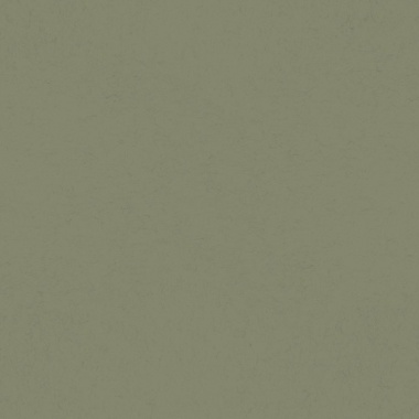 Papel pintado liso verde bosque oscuro - TONARA 05 | MURAKE - 203306