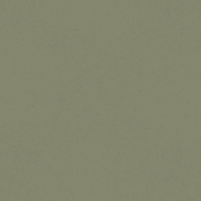 Papel pintado liso verde bosque oscuro - TONARA 05 | MURAKE - 203306