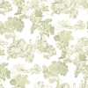Papel pintado toile de Jouy verde - VALCOUR 05 | MURAKE - 836850
