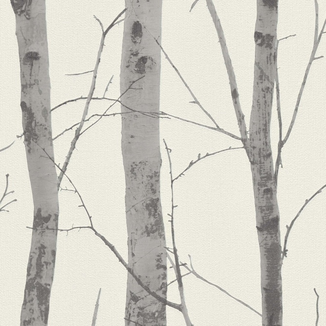 TRONCO ABEDUL 03 - 1