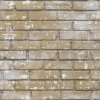 Papel pintado - PERAMEA 01 - 856613 Papel pintado - PERAMEA 01 - 856613