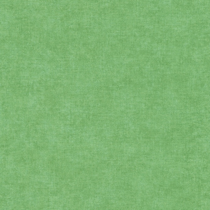 Papel pintado - TURENNE 11 - 276312