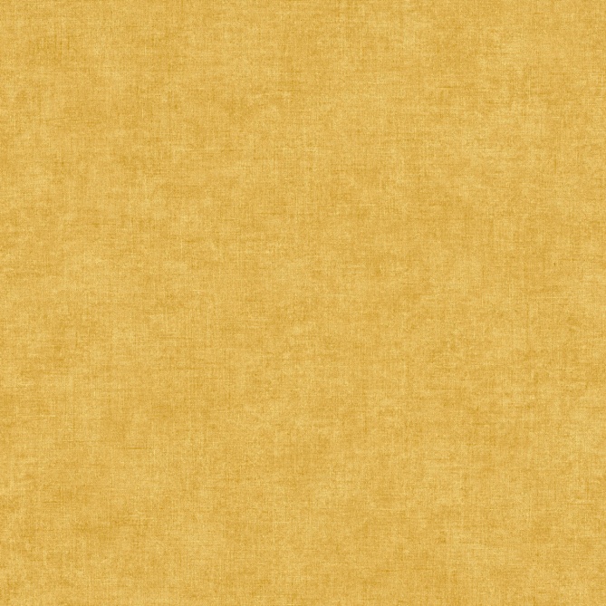 Papel pintado - TURENNE 12 - 276313