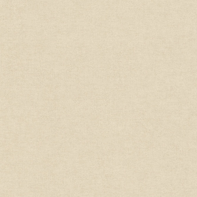 Papel pintado - TURENNE 15 - 276316