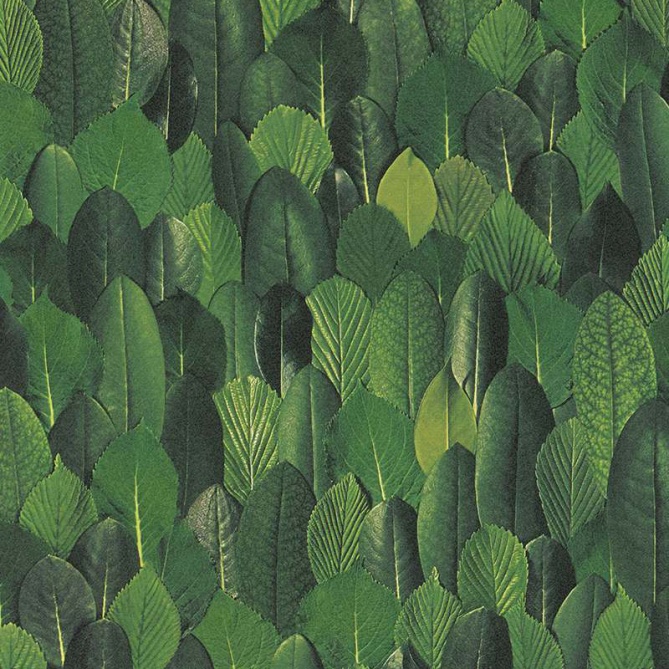 Papel pintado - GUANE 02 - 713035