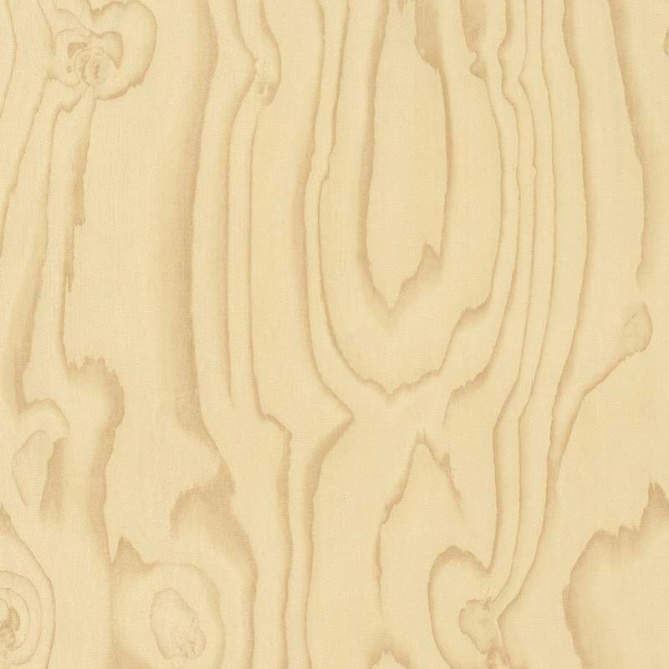 Papel pintado - SHOLA - 713075