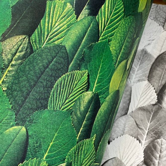 Papel pintado - GUANE 02 - 713035